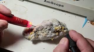 Goldbay - Preparing a gold specimen - Part 1