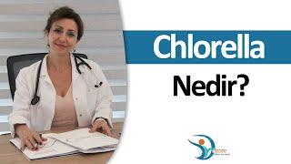 Chlorella Nedir?  Fonksiyonel Tıp  Uzm. Dr. Emre Topal  Mall Of İstanbul