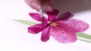  Welcome ⎮Billy Showell ⎮ Watercolour Beautiful ⎮ Botanical Painting 