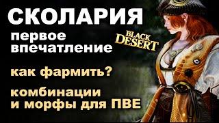 СКОЛАРИЯ Скилы билды комбы на фарм и первые впечатления - НЕ гайд в BDO - Black Desert MMORPG