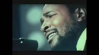 Marvin Gaye - Whats Going On  Whats Happening Bro