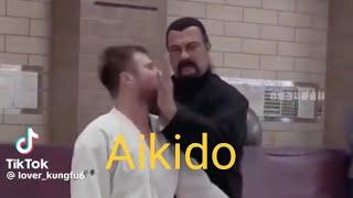 Aikido amazing skills master extraordinary ability technics martial arts extreme stunts strongman