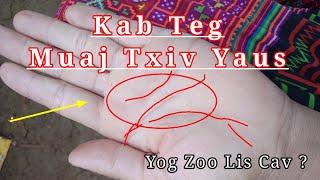 Kab Teg_Muaj Txiv Yaus_ Yog Zoo Liv Cav ?