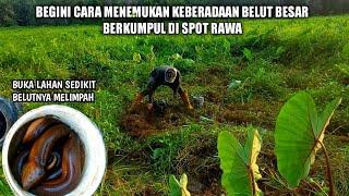 CARA MANCING BELUT DI SPOT RAWA‼️ UNTUK MENEMUKAN TEMPAT YG BANYAK BELUTNYA