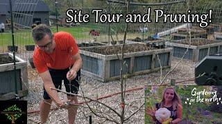 I toured Gardening in the Norths new site and pruned her trees