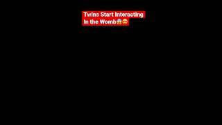 Twins Start Interacting in the Womb at 14 WeeksFetal Development#shorts #youtube #viral