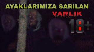 Paranormal olaylar Issız ormanda Ayaklarımıza dolanan Varlıklar Hd