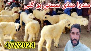 mundra chatra mandi Update dera ghazi khan Check Mundre and Mundri gaban Bhrigu Rates of 2025