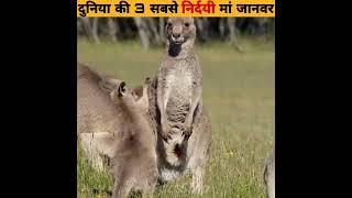 दनय क 3 सबस खरब म जनवर worst animal parents shorts