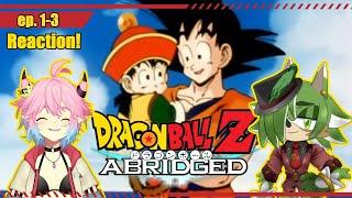 THIS IS ACTUALLY FUNNY??  Dragonball Z Abridged reaction Vtubers React