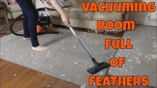 Henry & Hetty Hoover Vacuuming ROOM FULL OF FEATHERS ️ ASMR Vacuuming Better Sleep #asmrvacuuming