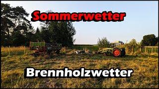 Brennholz fahren und aufräumen  Deutz D30s