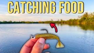 Catching Lunch From the River {Catch Clean and Cook}