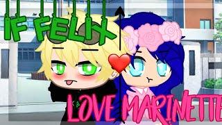 If Felix Fall In Love With Marinette  Gachaclub miraculous ladybug gacha