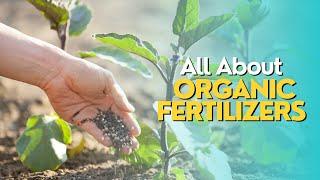 All About Organic Fertilizers