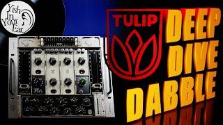 ed Acustica Audio TULIP Live Deep Dive Dabble #acusticaaudio #hyperengine