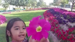 Taman Bunga di Pinggir Jalan  Doha Winter with Flowers