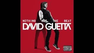 David Guetta - Where Them Girls At Audio