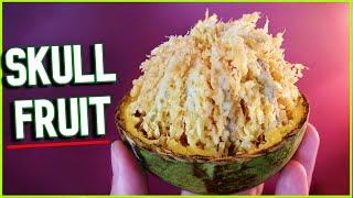 BAEL FRUIT - This Hard Shelled Fruit is Full Of Delicious Pulp + Juice Recipe & Shell Crafts