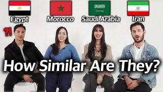 Can Middle Eastern Countries Understand Each Other? Iran Morrocco Saudi Arabia Egypt