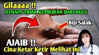 Setelah Nonton Video Ini Semua Orang Langsung Cari Biji Salak Bekas Manfaatnya Luar Biasa