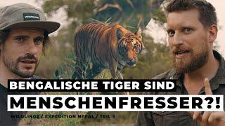 Auge von Tiger rausgerissen? Tigersuche Teil 3  EXPEDITION NEPAL  Episode 5  WILDLINGZ