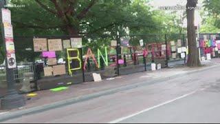 Protest signs on White House Fence  Most DC Thing