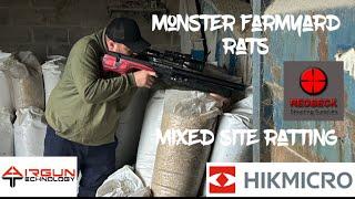 Monster farm yard rats Gonna need a bigger gun