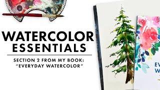 The Beginners Guide to the Watercolor Essentials  PART 2