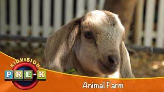 Animal Farm  Virtual Field Trip  KidVision Pre-K