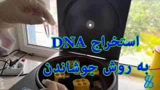 استخراج دی ان ای باکتری با جوشوندن یک روش مرسوم و ارزان.