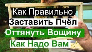 Пасека#89 Как Правильно Заставить Пчёл Оттянуть Вощину Как надо вам Пчеловодство для начинающих