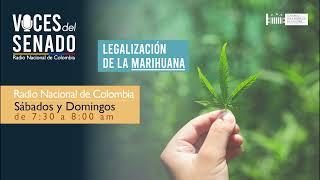 ¿Regular el uso del Cannabis en Colombia? I #VocesDelSenado 20 de noviembre