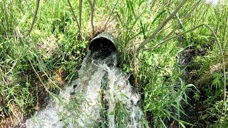 “BEAVERS BARRIER BROKEN” Culvert Unclogged And Flowing