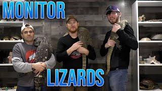 Monitor Lizards as pets Nile Black throat Asian Water and Savannah monitors.