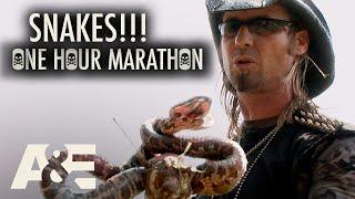 Billy the Exterminator SNAKES One-Hour Compilation  A&E