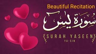 Surah Yasin - Heartwarming Recitation in Beautiful Voice I Spiritual Echoes I #quran #trending