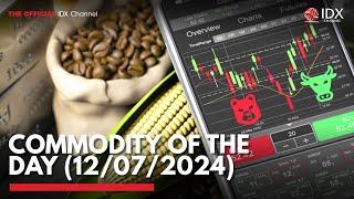 Commodity of the Day 12072024  IDX CHANNEL