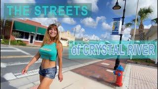 Crystal River Florida  Property Search & Restaurants