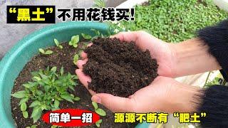 火爆全网的“养土”方法，做法非常简单，改善土质，让蔬果长得更健壮！How to have fertile soil?