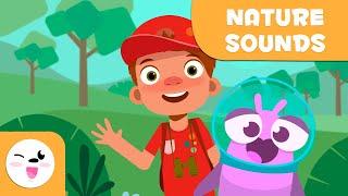 NATURE SOUNDS for Kids - Episode 3