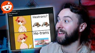  Trans Memes - Reddit & Chill