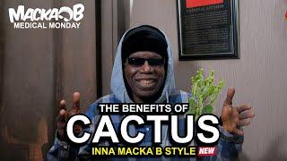 Macka Bs Medical Monday Cactus