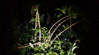 EXPLOR PERDANA feat  ITONG MISTERI  DAN BOS KICLIK