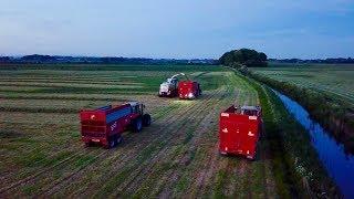 SILAGE 2018 1ST CUT