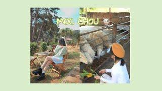 trip Mộc Châu  chia sẻ kinh nghiệm và lịch trình du lịch Mộc Chou 3N2Đ 