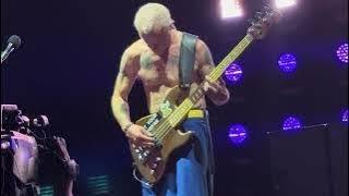 Red Hot Chili Peppers - Instrumental Jam Live 4K