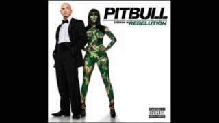 Pitbull - Give Them What They Ask For