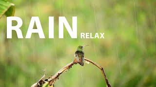 RAIN MEDITATION. Rain sounds for background and relaxation