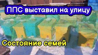 Состояние семей после выставки на улицу. Осмотр ульев ППС. Зимовка 2022 заканчивается Есть потери